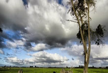  曼城成功零封姆巴佩,门将赛后获得全场最佳球员 